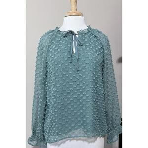 Cupio Mint Green Plumeti Swiss Dot Textured Blouse Size Large Sheer Feminine Top